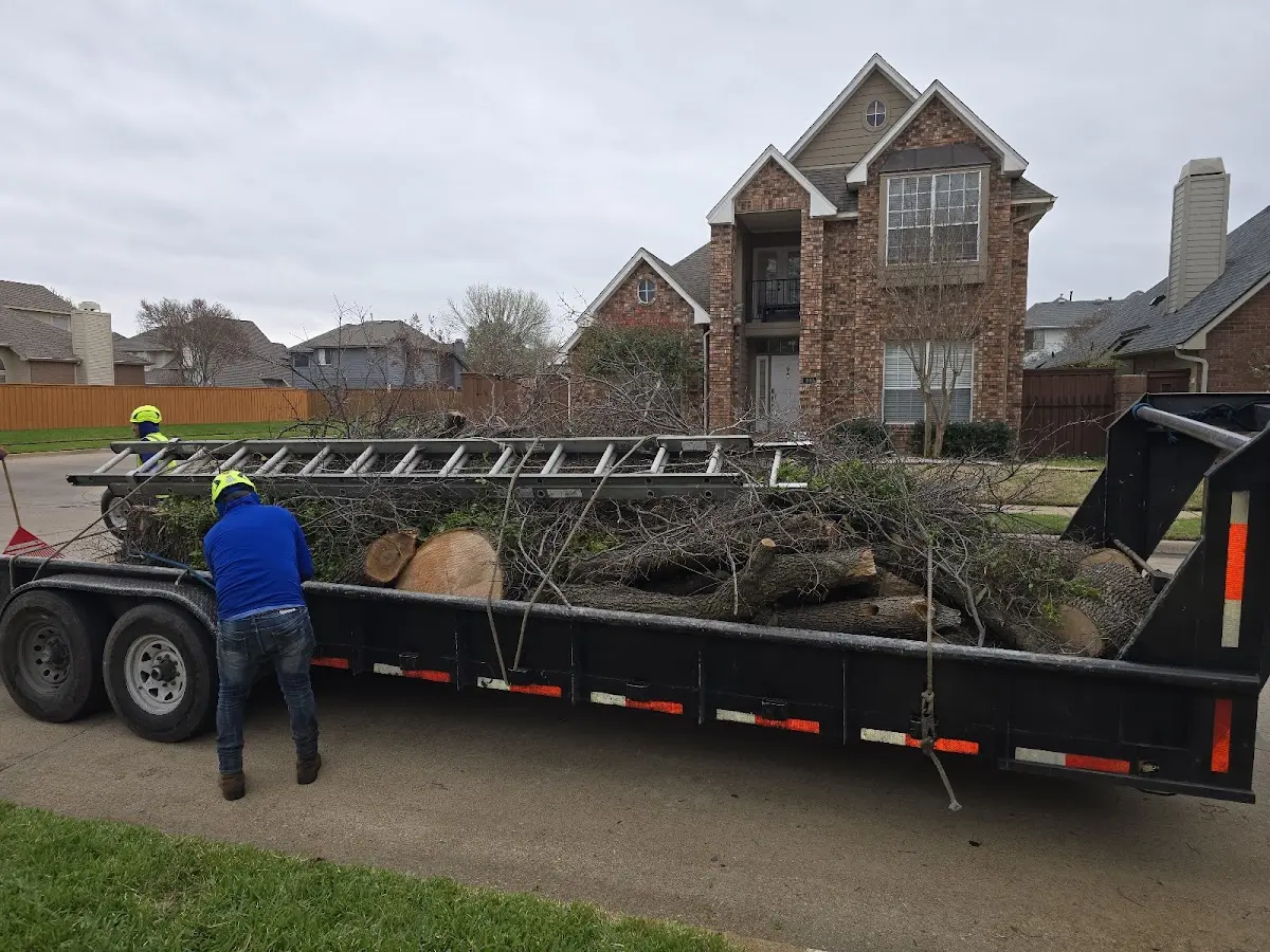 Expert Crown Reduction with proper safety equipment in Fountain City